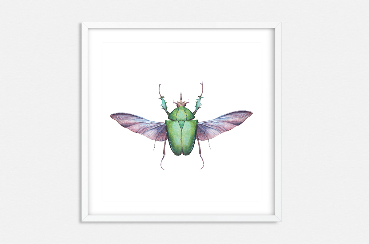 Plakat - Zielony chrząszcz - fototapeta.shop