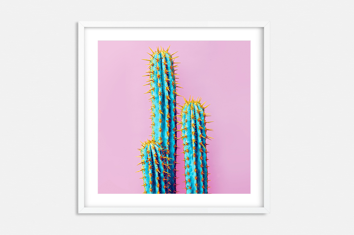 Plakat - Pop-art kaktusy w różu - fototapeta.shop
