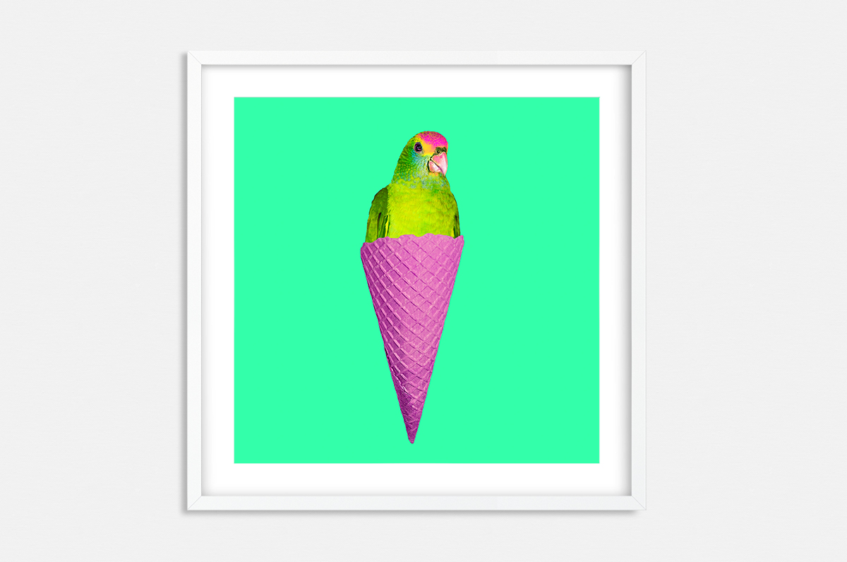 Plakat - Pop-Art papuga w waflu - fototapeta.shop